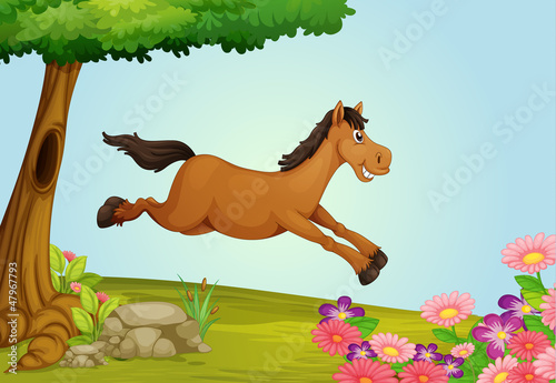A jumping horse