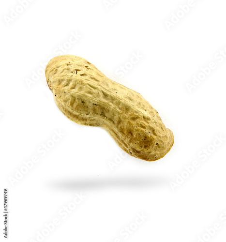 Peanut