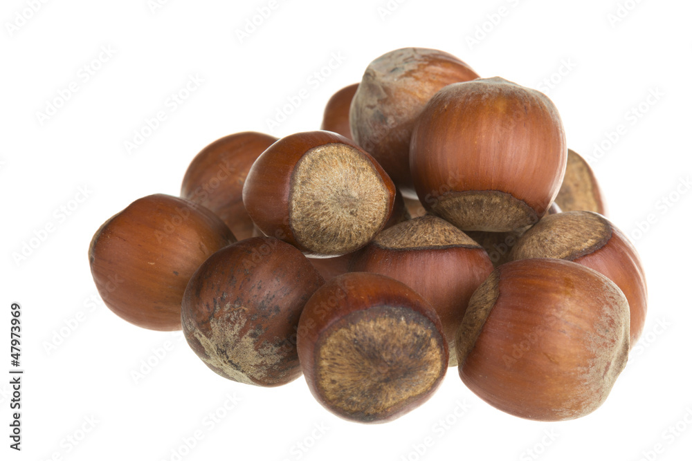 Dried hazelnuts Dried hazelnuts