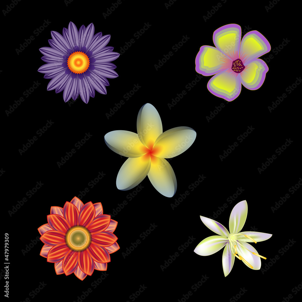 set of flowers, vector