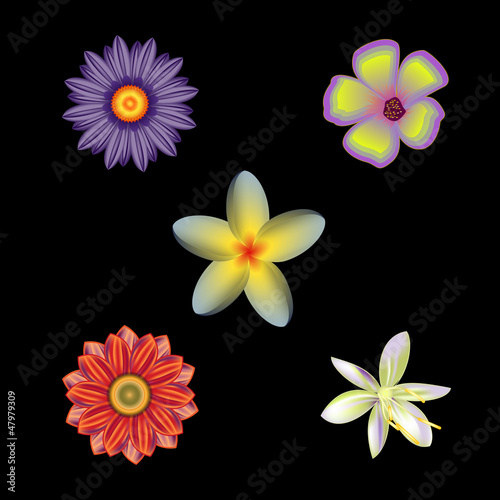 set of flowers, vector