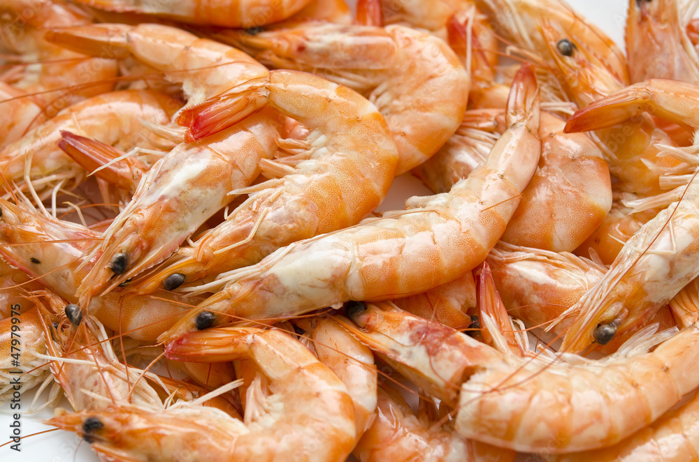 Shrimp texture