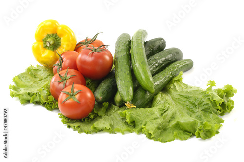 Fresh vegetables isolated on green lettuce