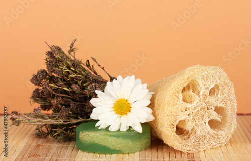 Obraz na płótnie Loofah on color background