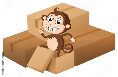 A monkey and boxes