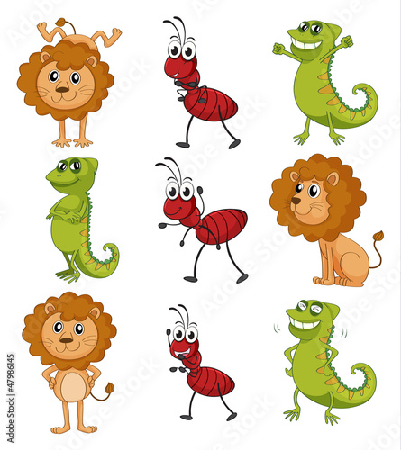 A lion, a chameleon and an ant