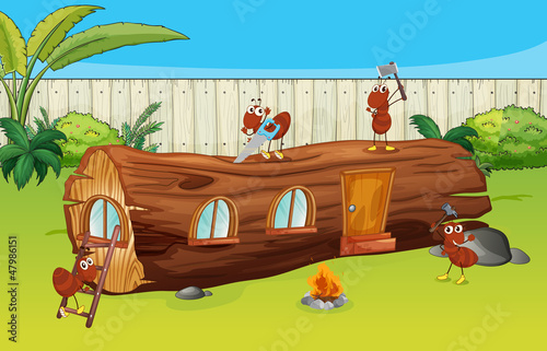 Ants and a wood house