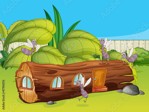 Mosquitoes and a wood house