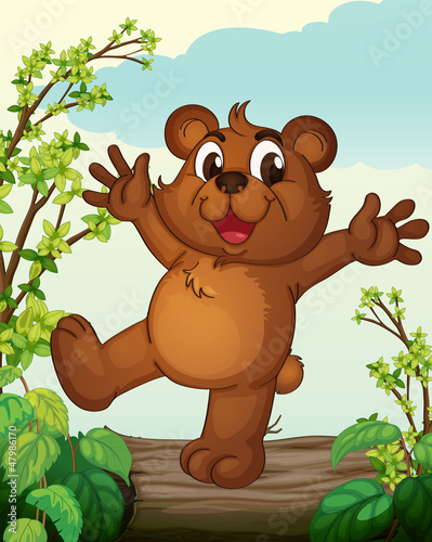 A smiling bear