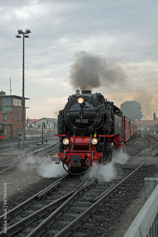 Naklejka premium Lokomotywa parowa kolei wąskotorowej Harz