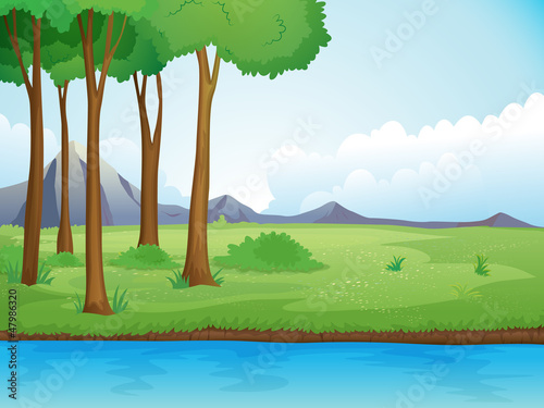 A river and a tree