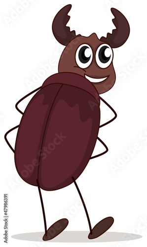 A smiling beetle