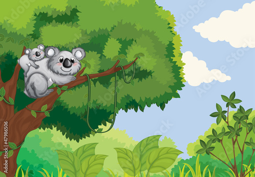 Bears sitting on a tree