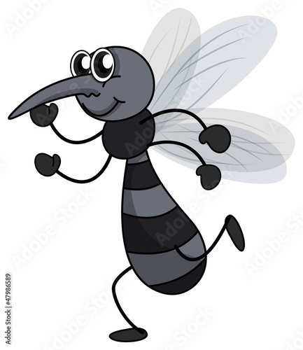 A smiling mosquito