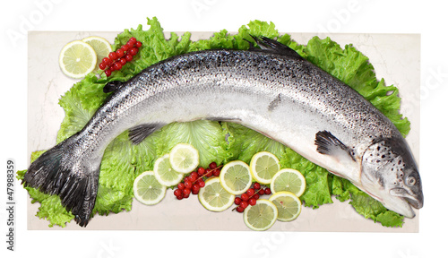 Schilderij op canvas Salmone - Salmon