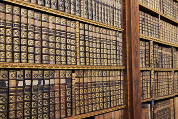 Wandcirkels Bibliotheek Oude boeken in Stift Melk Oostenrijk  © jorisvo
