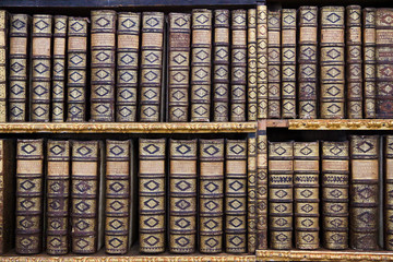 Wandcirkels Bibliotheek Eeuwenoude boeken in abdij Melk  © jorisvo