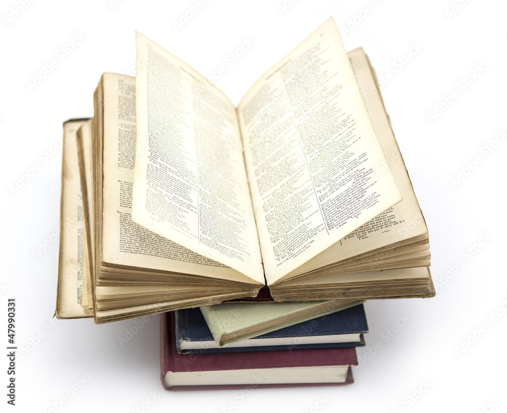 Pile of dog bones isolated on white