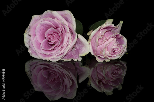 Pink Roses Bouquet