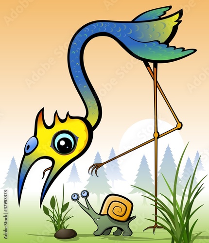 Bird and square snail.