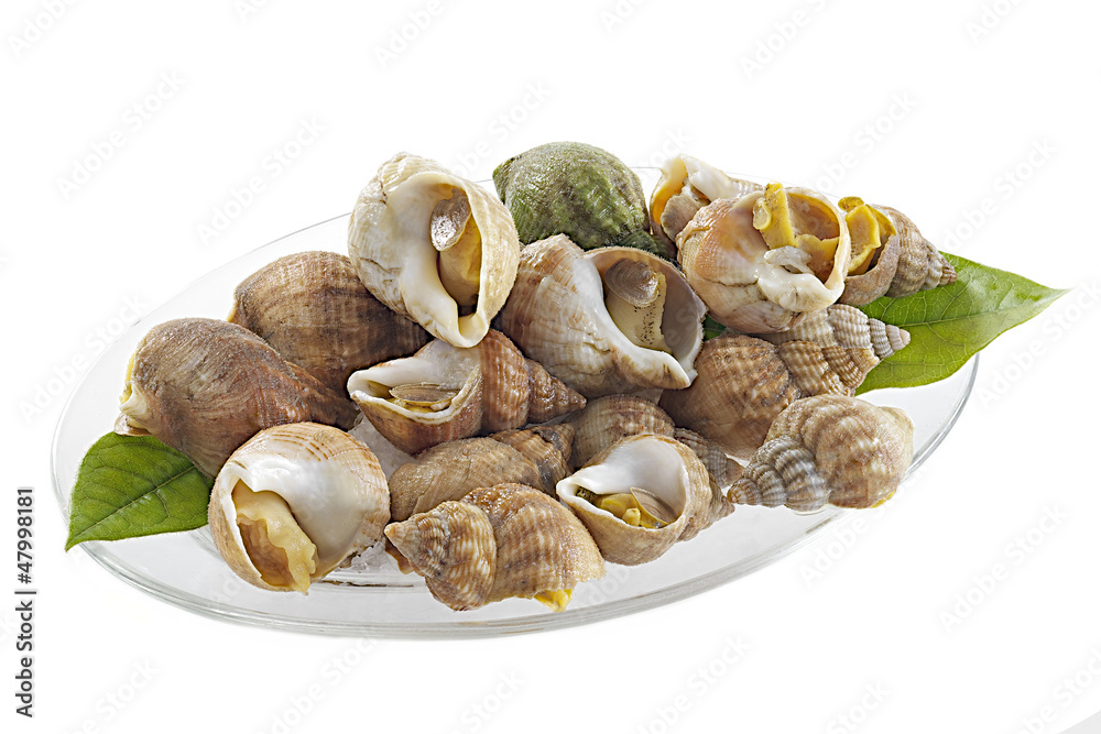 Assiette de bulots ou escargots de mer Stock Photo | Adobe Stock