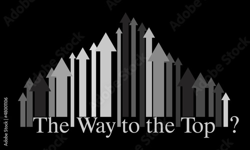 The Way to the Top  vector