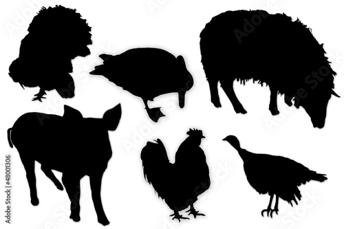 black silhouettes of domestic animals and birds