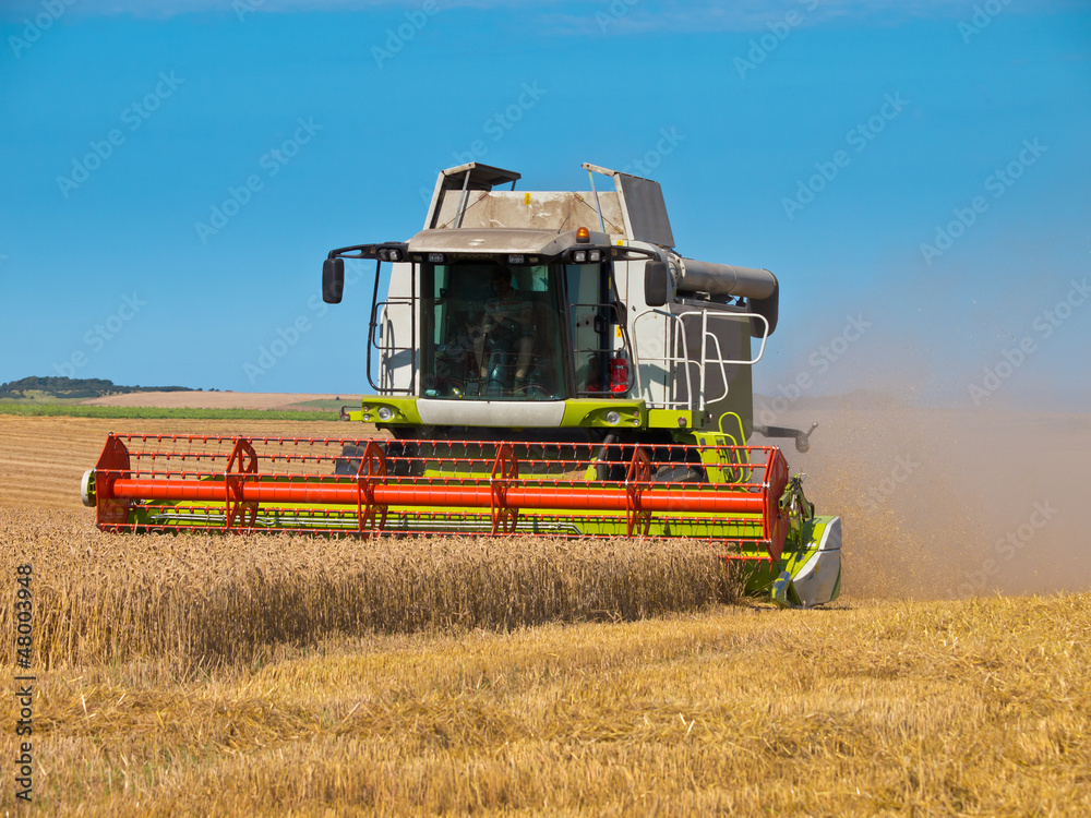 Fototapeta premium combine harvester