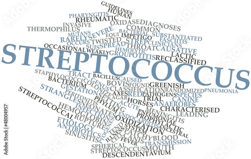 Word cloud for Streptococcus photo