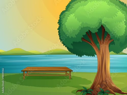 A river and wooden bench