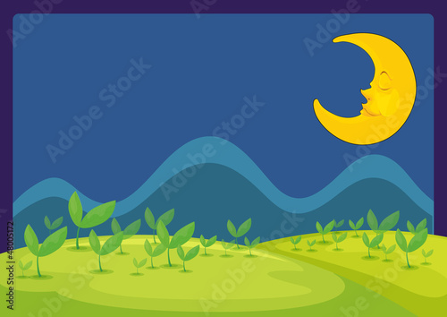 The moon in a beautiful night