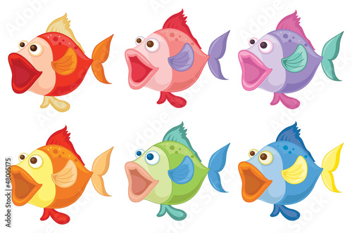 Smiling fishes