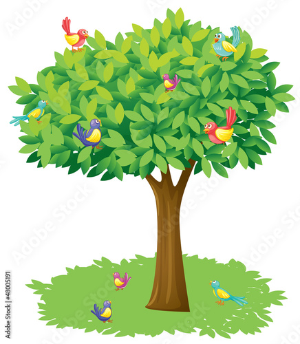 A tree and birds