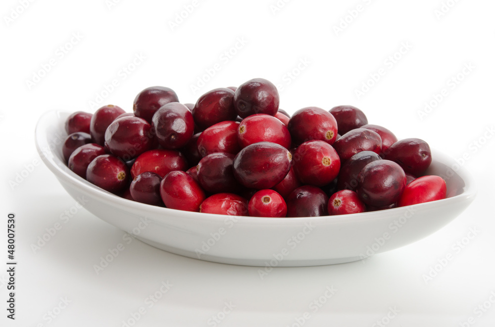 Schale mit Cranberries Schale mit Cranberries