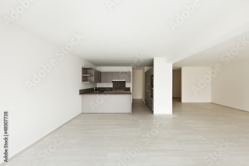 modern architecture, new empty apartment , kitchen