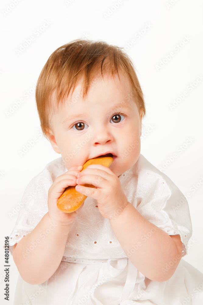 Girl eating cookies, on a gray background Girl eating cookies, on a gray background