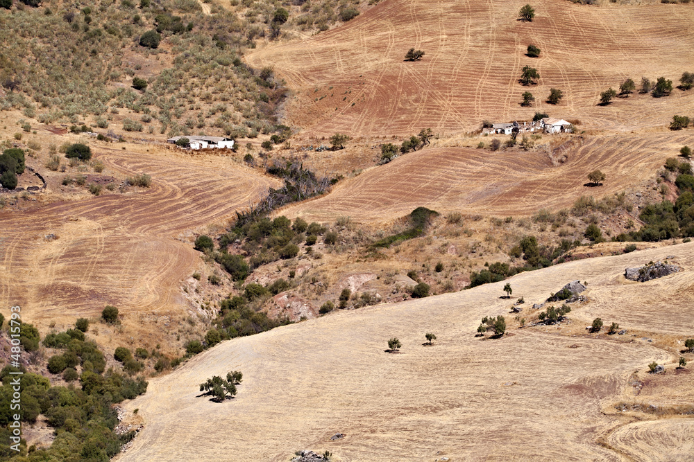 plowed fields in Andalucia
