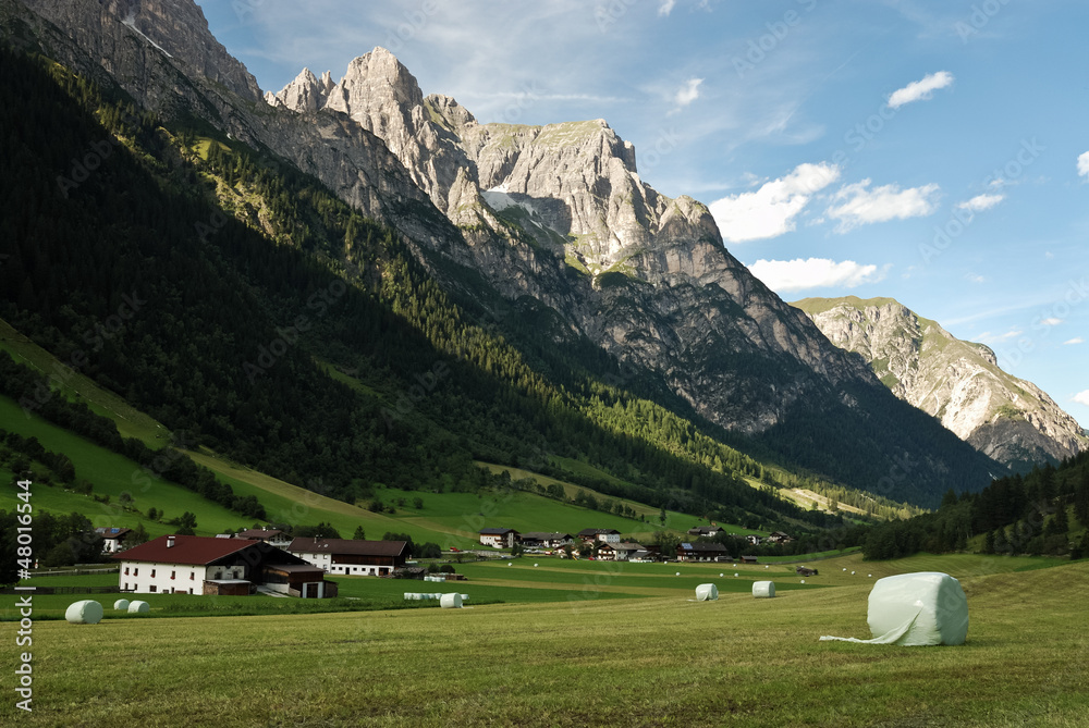 Berge Tal und Wiese im Gebirge in Tirol