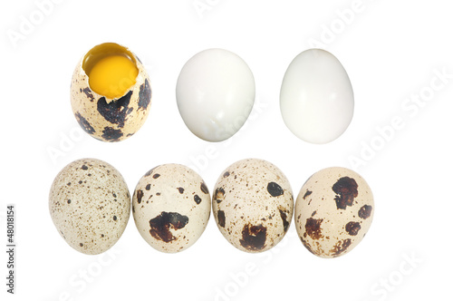 oeufs de cailles frais et dur sur fond blanc photo