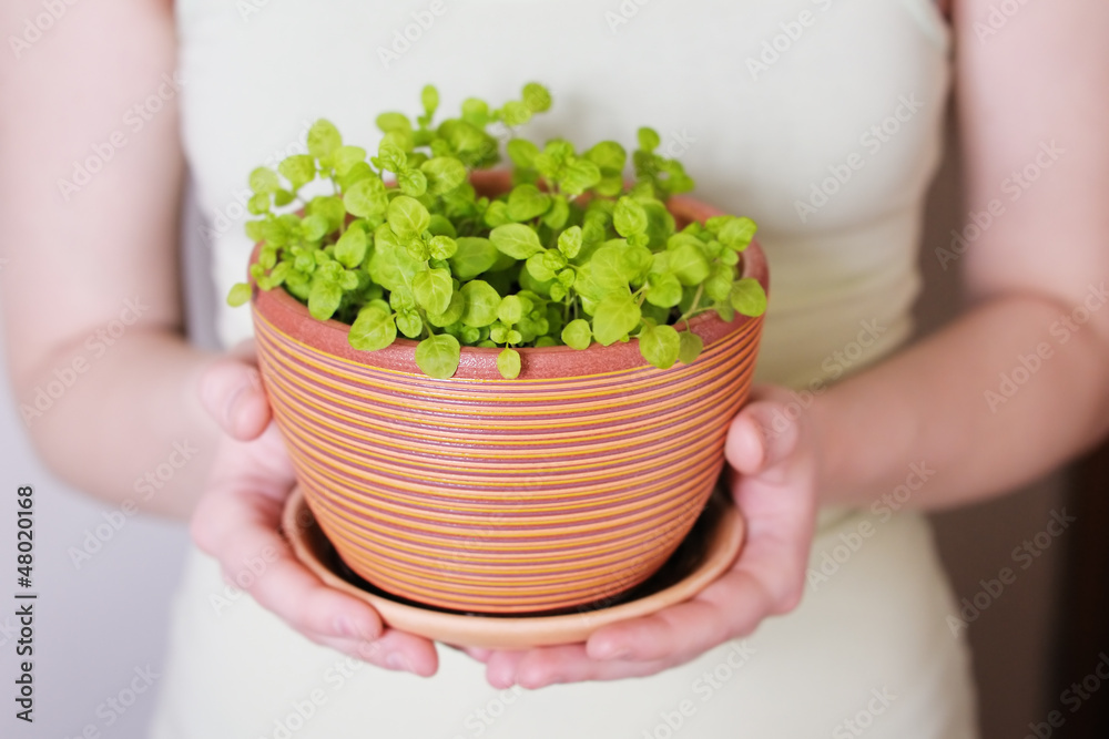 Woman holding flowerpot with sprouts in her hands