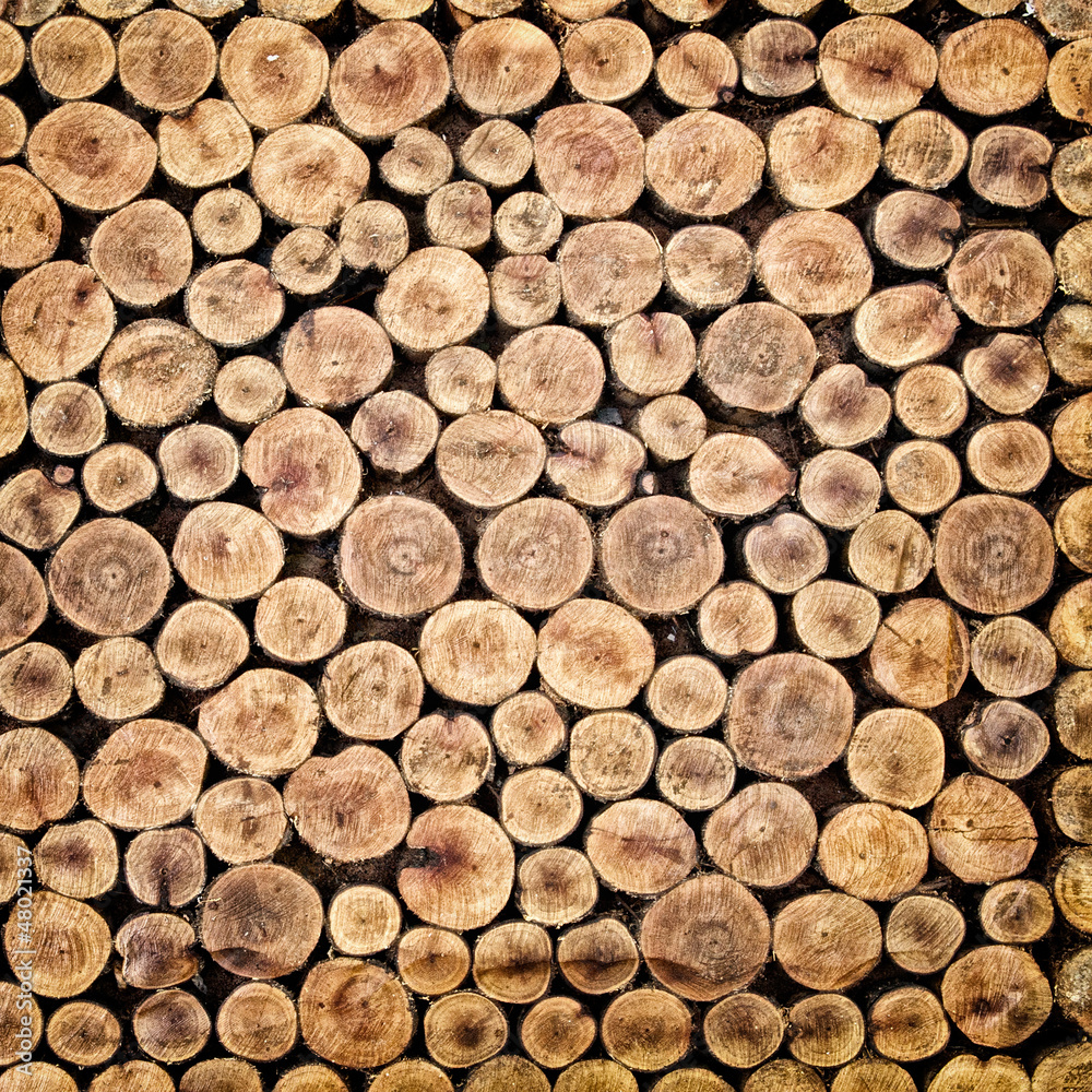 Pile of chopped fire wood prepared for winter Pile of chopped fire wood prepared for winter