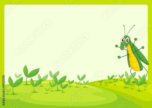 A grasshopper