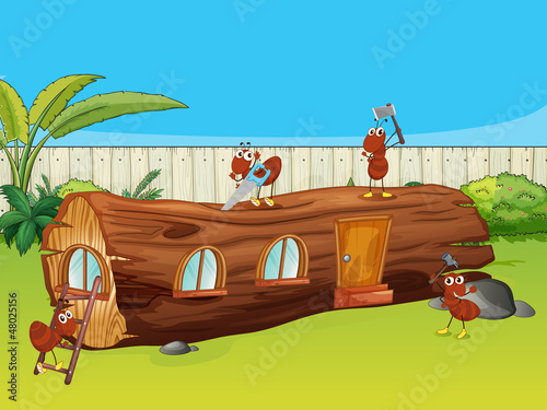Aants and a wood house