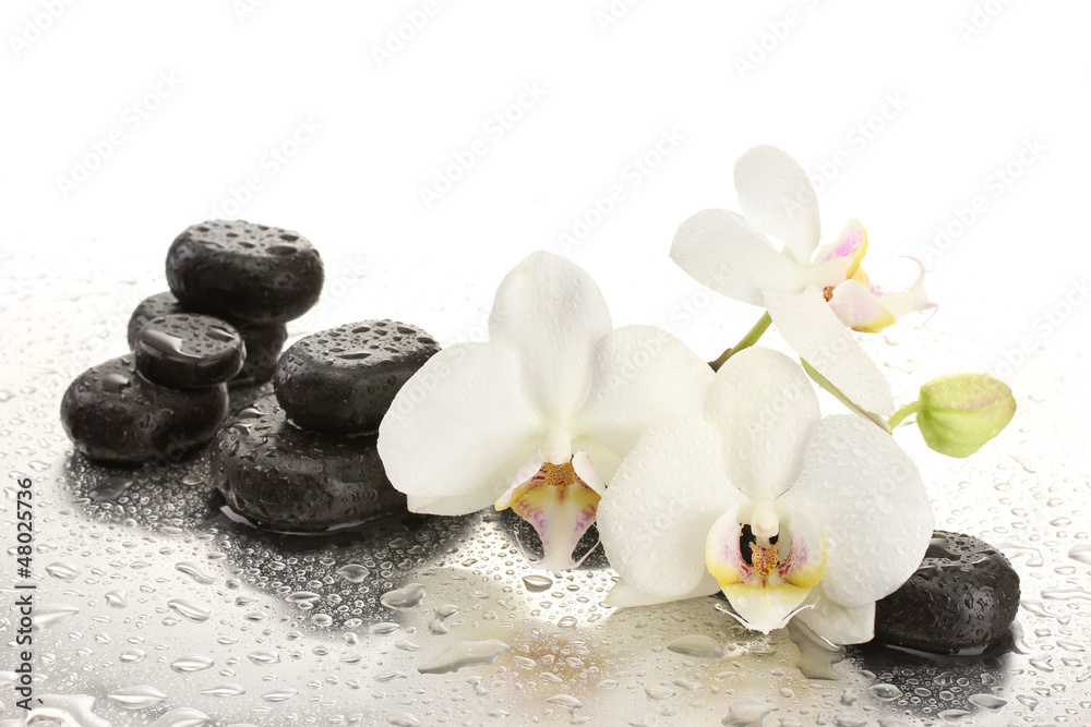 Fototapeta premium Kamienie Spa i kwiaty orchidei, na białym tle.