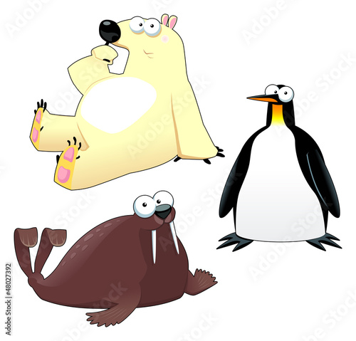 Polar animals