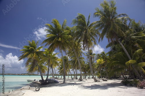 Palm trees on the beach of tropical Bora Bora, French Polynesia.