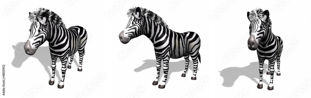 Obraz premium 3D Zebras