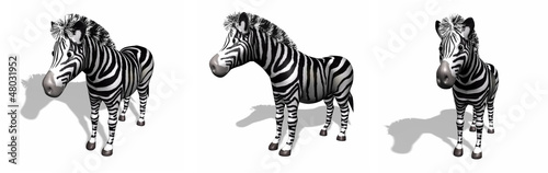 3D Zebras