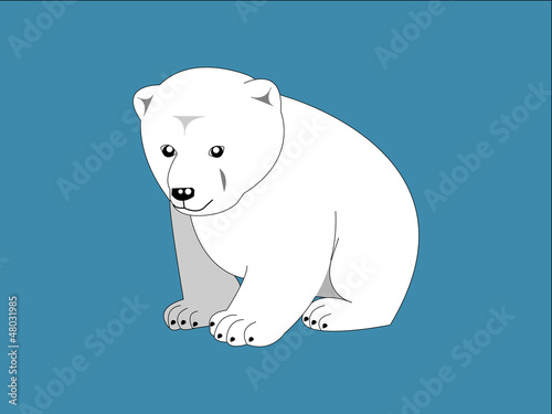 Polar bear