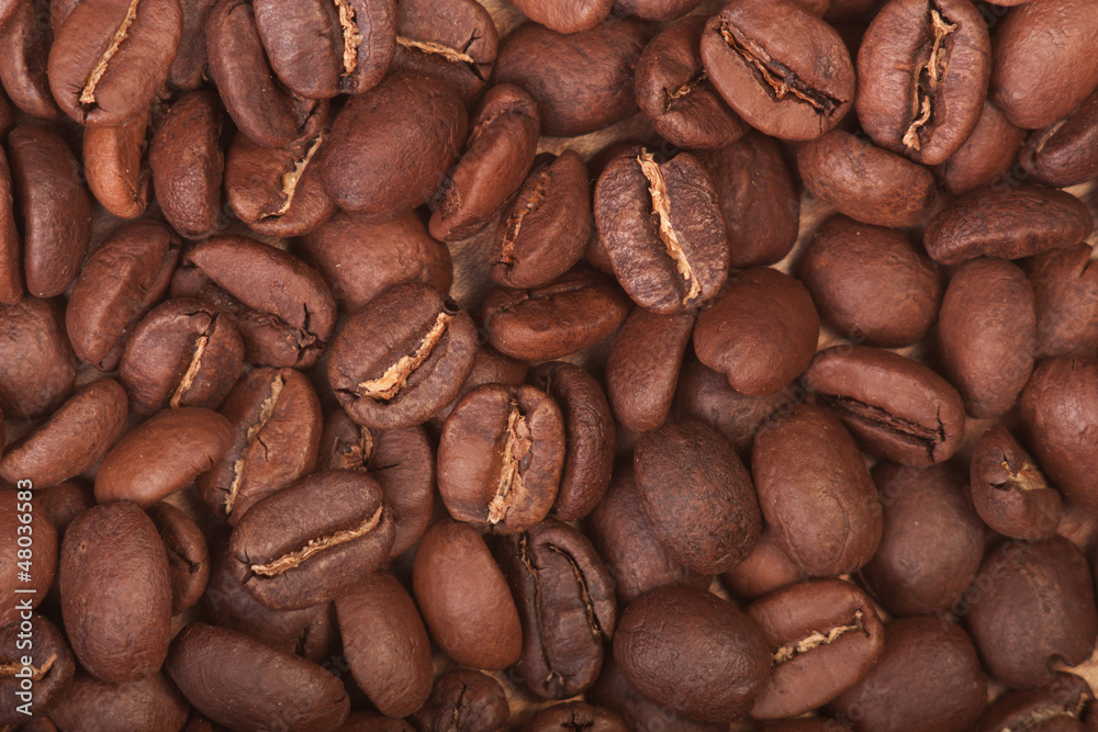 Fototapeta premium Coffee beans